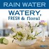 MRS. MEYER'S CLEAN DAY Liquid Dish Soap, Rain Water, 16 fl. oz - Pack of 3 view 4
