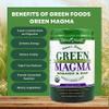 Worldwide Nutrition Green Foods, Green Magma Organic, Digestive Enzymes, Fiber Supplement & Whole Foods -10.6 Ounce Protein Powder Multi Purpose Key Chain view 4