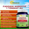 aSquared Nutrition Fadogia Agrestis 600mg and Tongkat Ali 400mg Supplement (180 Capsules) - Fadogia Agrestis Extract & Powder Complex Pills for Men & Women view 2