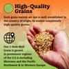 My Brew Supply 2-Row (2L) Premium Malt Beer Making Grain | Brew Your Own Pale to Slightly Dark Beer with Bulk Milled Spring Barley Grains | Grown in Western Europe | 10lb Crushed Grain view 3