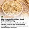 Brewers Malt 2-Row (Milled/Crushed) by Briess 10 lbs Homebrewing Beer Making view 4