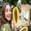 100% Natural Sun Dried Papaya Seeds | High Papain & Carpain Content | No Additives | Vegan | Laboratory Tested | Gluten & Lactose Free | Ethycally sourced | (approx 1000 seeds) view 3