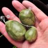 AOWNE Drilled Yoni Eggs Jade for Women Kegel Exercise Exercise Rose Quartz Ben Wa Ball Massager,Green 1 Set view 2