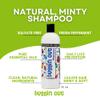 buggin out Lice Prevention Shampoo 16oz | for Kids & Adults Daily Use | Peppermint Essential Oil | Sulfate Free | Fresh Minty Scent view 2