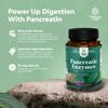 Natures Craft Pancreatin Digestive Enzymes for Digestive Health - Pancreatic Enzymes for Humans with Fat Carb and Protein Women and Men - Protease Amylase & Lipase Digestion -120ct view 4