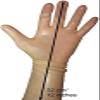 Rubber Short Latex Mixed Toes Wrist Gloves,Transparent,S-Wrist Around-16cm view 2