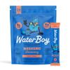 Waterboy Weekend Recovery | 3,200mg Electrolyte Powder Packets | Ginger + L-Theanine + Vitamins | No Sugar, All Natural, Gluten Free | 24 Drink Stick Mixes (Fruit Punch) view 1