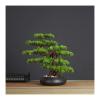 Artificial Bonsai Tree Artificial Bonsai Welcoming Pine Tree Simulation Potted Plant Decorative Bonsai Desk Display Fake Tree in Ceramic Pot for Home Office Shop Decorative Gifts Simulation Bonsai ( view 1