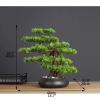 Artificial Bonsai Tree Artificial Bonsai Welcoming Pine Tree Simulation Potted Plant Decorative Bonsai Desk Display Fake Tree in Ceramic Pot for Home Office Shop Decorative Gifts Simulation Bonsai ( view 2