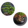Artificial Bonsai Tree Artificial Bonsai Welcoming Pine Tree Simulation Potted Plant Decorative Bonsai Desk Display Fake Tree in Ceramic Pot for Home Office Shop Decorative Gifts Simulation Bonsai ( view 3