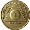 13 Year AA Medallion Traditional Bronze Raised Center Sobriety Chip view 1