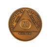 11 Year AA Medallion Traditional Bronze Raised Center Sobriety Chip