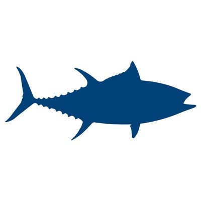 Bigeye Tuna Fish (8" x 3.3", Blue)