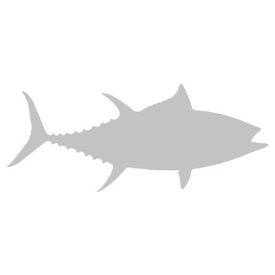 Bigeye Tuna Fish (8" x 3.3", Light Grey)