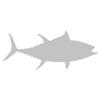 Bigeye Tuna Fish (8" x 3.3", Light Grey) view 1