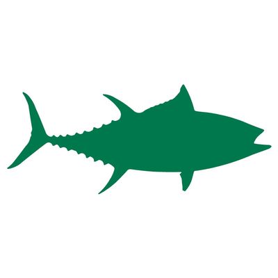 Bigeye Tuna Fish (6" x 2.5", Green)