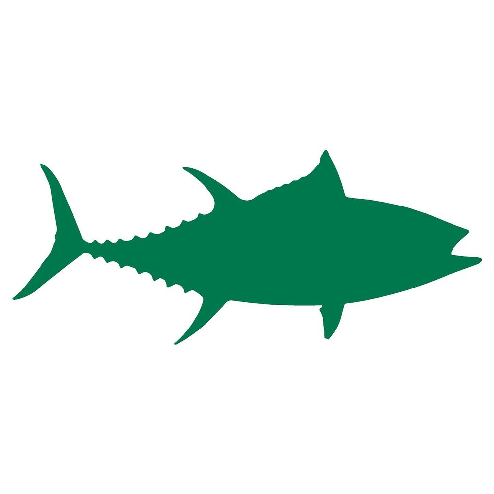 Bigeye Tuna Fish (6" x 2.5", Green)