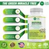 Moringa Capsules, 180 Vegan Pure Oleifera Leaf Powder Pills, 1200mg Per Serving, Non-GMO and Gluten-Free Supplement, 3 Months Supply, Immune System Support, Metabolism and Energy Booster view 2