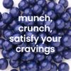Nutic Milk Chocolate Covered Blueberries - 5Lb, Premium Chocolate Candy, Delight, Perfect for Holiday Gifts & Food Baskets, Made in USA - (Pack of 1) view 3