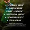 ROUNDHOUSE PROVISION Morning Kick, Zero Sugar Greens Superfood Powder Supplement with Ashwagandha, Collagen, Probiotics, Debloat Drink, 30 Servings (Strawberry Lemonade) by Chuck Norris view 2