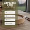 10 inch Compostable Plates, 125 pack Disposable Plate sugarcane fiber plates. Eco-friendly Biodegradable, heavy duty strong for hot or cold meals. Perfect for parties, BBQs, picnics, and home use view 3