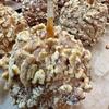 TV's Deli & Diner Gourmet Jumbo Caramel Apple | Caramel, Toasted Walnuts & Milk Chocolate | Handmade & Freshly Prepared (Walnut Milk Chocolate) view 2