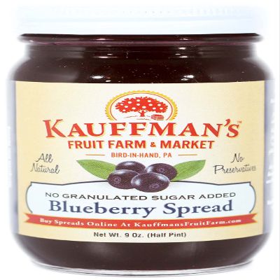 Kauffman Orchards Blueberry Fruit Spread, All Natural, No Preservatives or Granulated Sugar Added, 9 Oz. (Pack of 1)