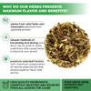 4 oz. Dried Nettle Leaf Tea Ortiga Planta Nettle Herb Bulk Stinging Nettle Leaf Herb Tea (Urtica dioica) - 113g Stinging Nettle Leaves Herbal Tea ortiga verde te view 4