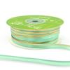 ~3/8" Single Faced Satin Gold Foil Stripe Ribbon - 685-38-94 Robins Egg Blue/Gold view 1
