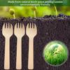 200pcs 4 inch Mini Wooden Forks, Biodegradable Compostable Birchwood, Food Grade Disposable Spoons Disposable Wooden Cutlery for Parties, Weddings, Camping. view 4