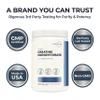 Type Zero Creatine Monohydrate Powder (Unflavored | 500g), 5000 mg Per Serving, Micronized, Zero Sugar, Keto Friendly & Gluten Free, 100 Servings view 3