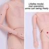 ZQHJ Multi-Functional Training Manikin Model Male and Female Patient Care Simulator for Students Education Training Skills view 4