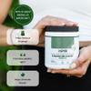 Nature's Pure Blend Super Greens Powder  Organic Greens Superfood Powder Supplements for Green Juice & Smoothie  Probiotic - Drink Mix for Energy Wellness and Digestion (Matcha Flavor, 30 Servings) view 3