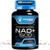 WELLNESS LABSRX Liposomal NAD Supplement, 1500mg - USA Made, NAD Resveratrol Supplement for Women and Men, NAD+ Support Cellular Health, Energy & Anti Aging - 90 Count view 1