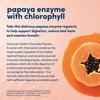 American Health Papaya Enzyme with Chlorophyll Chewable Tablets - 600 Count (200 Total Servings) (Pack of 2) view 4