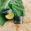 Consuelda Comfrey Salve  Traditional Herbal Formula for Muscles & Joints, Plant-Based Recovery Support, Handcrafted Small Batch Balm, 2 oz view 3