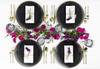 EcoQuality 13" inch Round Charger Hammered Translucent Black Plastic Plates with Gold Rim - China Like Party Plates, Heavy Duty Large Disposable Dinner Salad Plate Weddings, Serveware (20 PACK) view 3
