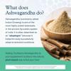 Youtheory Ashwagandha + GABA - Adaptogenic Blend with Organic KSM-66 & Ginger - Aids Stress Relief & Mood* - Supports Energy Levels* - 60 Vegetarian Capsules (30-Day Supply)* view 4