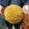 WGPHD Meditation Home Huge Natural Newly Discovered Yellow Crystal Cluster Energy Ore Home Office Decoration Mineral Reiki Healing Furnishings Piece (Size : 5.0-5.5kg) view 3