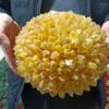WGPHD Meditation Home Huge Natural Newly Discovered Yellow Crystal Cluster Energy Ore Home Office Decoration Mineral Reiki Healing Furnishings Piece (Size : 5.0-5.5kg) view 4