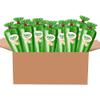 Gourmet Popcorn  Premium Pack of 6 Kettle Corn Mini Cones & Exclusive Inspirational Sticker! Small Storage Space Friendly & Great Stocking Stuffers! 5.4oz total. view 2