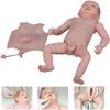 AMITVA Life Size Baby Nursing Practice Simulator Anatomically Newborn Baby Care Model, for Medical Education Teaching Tool view 2