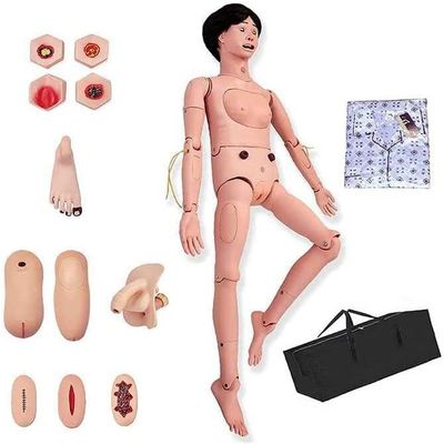 AMITVA Nursing Skills Female Nursing Manikin with Interchangeable Genitals and Bedsore Modules for Nursing Medical Training Teaching Medical Supplies,170Cm