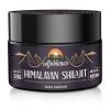 Ajoblanco 600mg Natural Himalayan Organic Shilajit Resin - Himalayan Gold Shilajit Resin with Organic Ayurvedic Blend in High Potency for Energy, Strength & Immunity, Pack of 1 view 1
