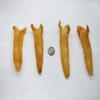 Xi Ge Ge GINSENG & HERBS CO.  227 South Afican butterfly Isinglass Tube in a box (half pound 30pics) view 1
