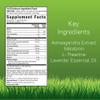 Irwin Naturals Stress-Defy Sleep PM  50 Liquid Soft-Gels  Relaxation & Nighttime Restoration view 2