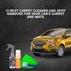 LANE'S Carpet Cleaning & Spot Remover Kit - 32oz Dry Foam, Spot Remover, Carpet Brush, Microfiber Towels, No Water is Needed, Safe and Easy to Use view 4