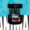 Animal Juiced Amino Acids - BCAA Powder EAA Matrix Plus Hydration with Electrolytes and Sea Salt Anytime Recovery and Improved Performance, Fruit Punch Flavor, 30 Servings view 2