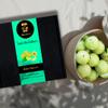 Being Bania Amla Murabba, 750g in vacuum pack Immunity Booster Homemade Murabba (Amla Murabba (Sugar)) view 3