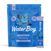 Waterboy Weekend Recovery | 3,187mg Electrolyte Powder Packets | Ginger + L-Theanine + Vitamins | No Sugar, All Natural, Gluten Free | 24 Drink Stick Mixes (Grape) view 1